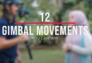 12 Gimbal Moves To Get Cinematic Video Shots